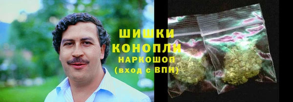 spice Алзамай