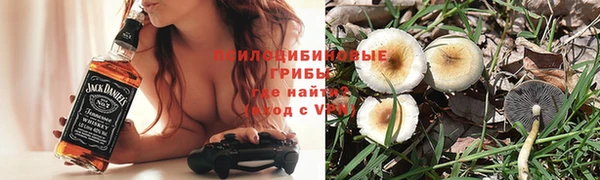 спайс Алексеевка