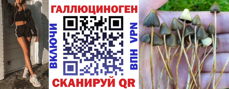 Галлюциногенные грибы ЛСД Качканар