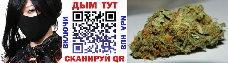 где купить наркоту  Качканар  Каннабис индика 